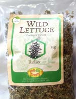Wild Lettuce