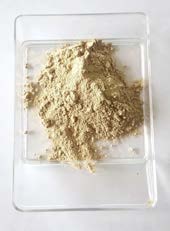Kava Kava